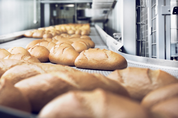 Dzienny wolumen produkcji nowej linii to 110 tysięcy bochenków, fot. mat. pras. Nowel Piekarnia Nowakowski z największą linią do produkcji chleba w Polsce