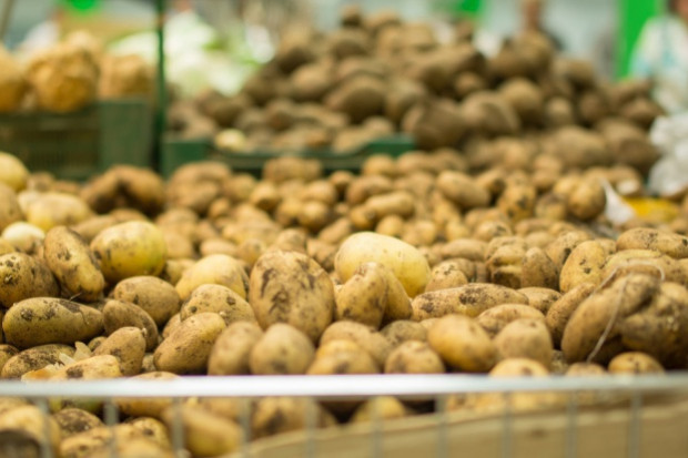 fot. shutterstock Niskie zbiory ziemniaków w Bułgarii