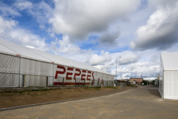 fot. za pepees.pl W wezwaniu na Pepees złożono zapisy na 3.532.768 akcji spółki
