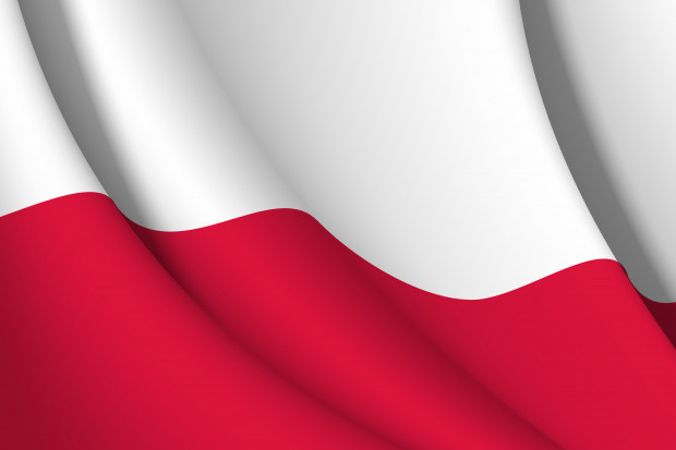 fot. shutterstock Płacenie podatków staje się dla Polaków oznaką patriotyzmu