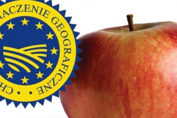 Jabłka Grójeckie posiadają unijny znak już od 2011 r. Lidl Polska podejmuje współpracę z Sadami Grójeckimi