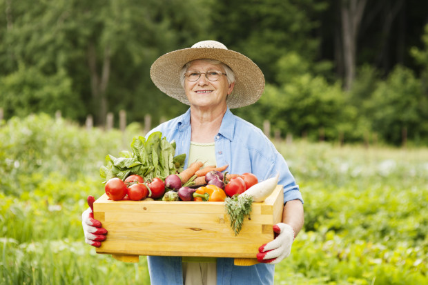 fot. shutterstock Osobom w wieku produkcyjnym brakuje żywności częściej niż seniorom