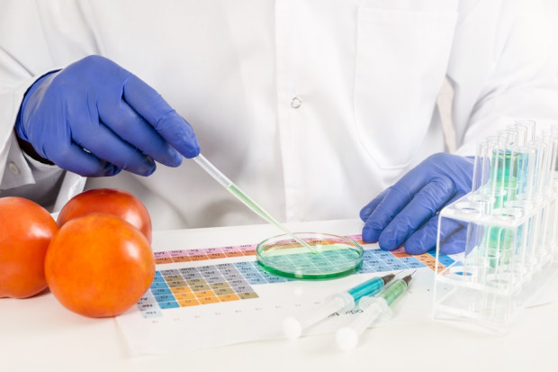 Fot. shutterstock Polscy naukowcy doskonalą metody produkcji żywności