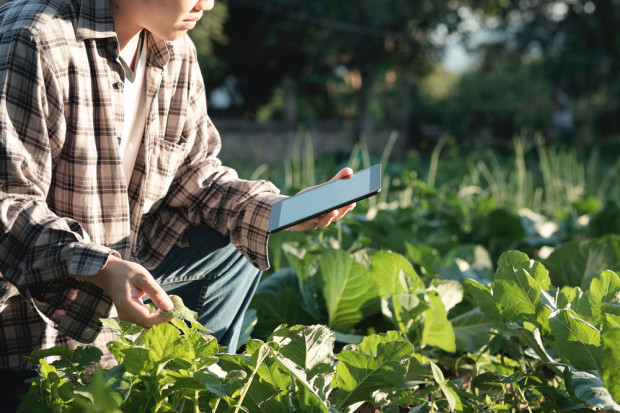 fot. shutterstock Węgry i Słowacja przeciwne sprzedaży gorszej żywności na wschodzie UE