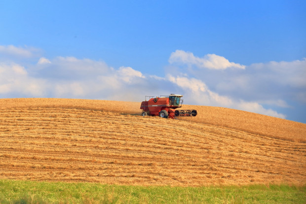 Fot. shutterstock IRG SGH: Poprawia się koniunktura w rolnictwie