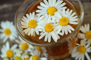 fot. pixabay.com Producent ziół Krautex w gronie wystawców Food Show 2017