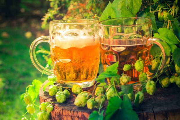 fot. Shutterstock Branża piwna kupuje ponad 220 tys. ton różnych surowców od rolników