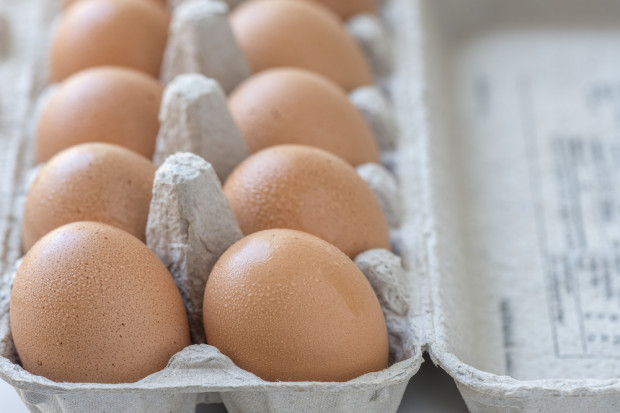 fot. shutterstock Polska utrzyma pozycję trzeciego producenta jaj w UE