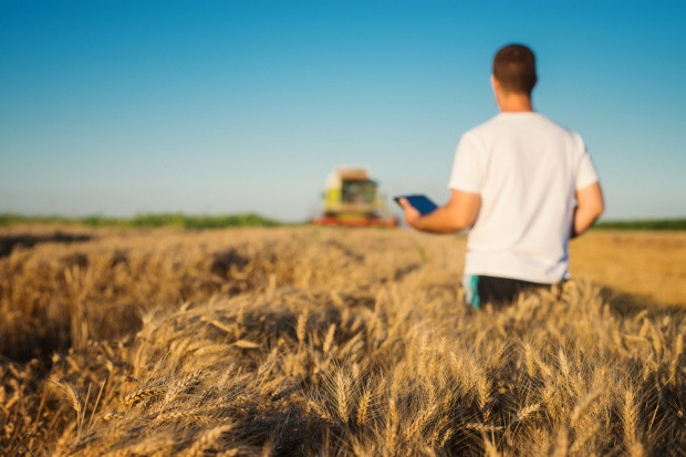 fot. Shutterstock Polscy rolnicy nie chcą być w Unii Europejskiej?