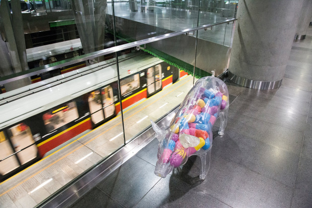 W ramach akcji CIWF wyprowadziła na spacer plastikową świnię, która wygląda jakby zjadła za dużo antybiotyków. fot. mat. pras. CIWF Polska apeluje o ograniczenie stosowania antybiotyków w hodowli zwierząt