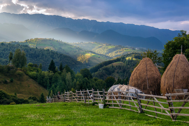 Fot. Shutterstock MRiRW: trwa kampania
