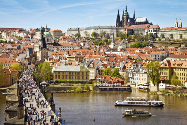 fot. shutterstock Czesi atakują polskie służby weterynaryjne