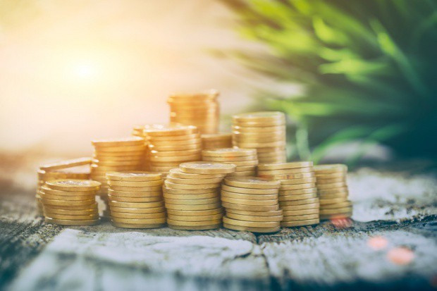 fot. shutterstock ARiMR wypłaciła ponad 13 mld zł w ramach płatności bezpośrednich za 2016 r.