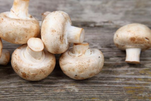 fot. shutterstock Węgry: rusza kampania popularyzująca spożycie grzybów uprawnych