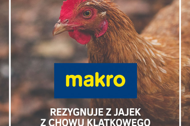 fot. materiały prasowe Makro Polska wycofa ze sprzedaży jaja z chowu klatkowego do 2025 r.