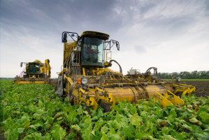 Fot. shutterstock W Rosji spodziewane są mniejsze zbiory roślin uprawnych