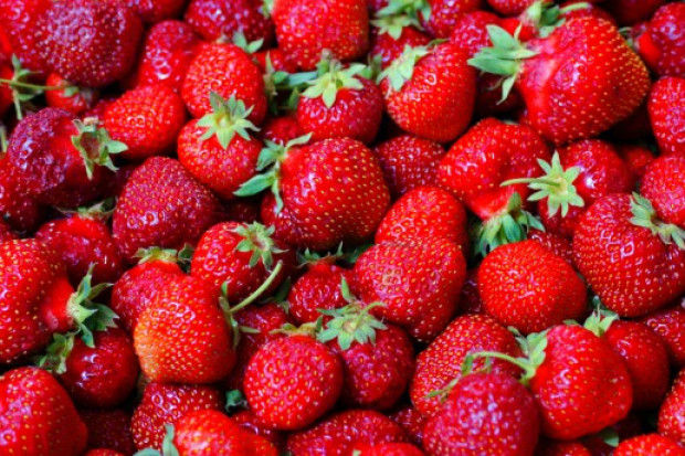 fot. shutterstock Średnie ceny truskawek do przetwórstwa ukształtują się na wysokim poziomie