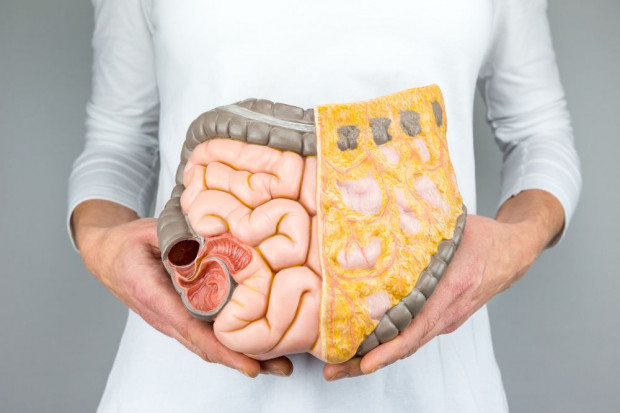 fot. shutterstock.com Bakterie w jelicie mają związek z emocjami