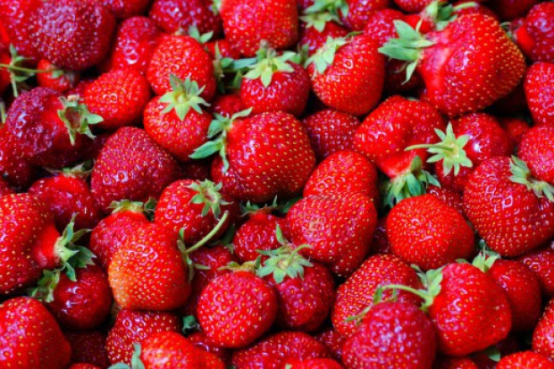 Fot. Shutterstock Za nami sezon truskawkowy. To nie był zły czas dla plantatorów