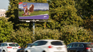 fot. materiały prasowe Lody Milka na outdoorze