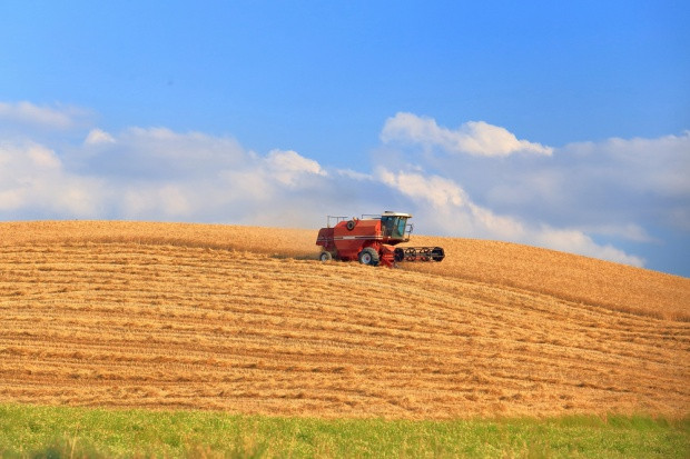 fot. shutterstock Koniunktura w rolnictwie - analiza IERiGŻ