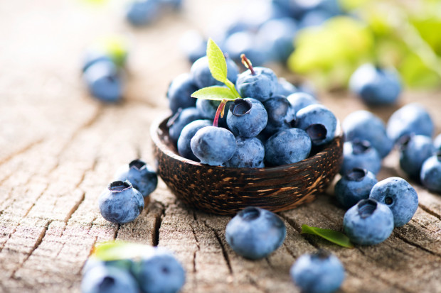 fot. shutterstock Dietetyk: Borówki powinny być w diecie każdego Polaka