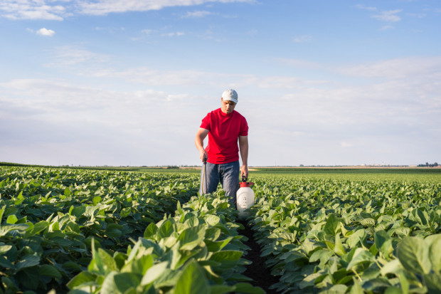 Fot. shutterstock Rolnicy ze wschodniej Polski nie są zainteresowani działalnością pozarolniczą