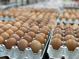 fot. shutterstock Sieciowa półka nie dla jaj klatkowych. Kto zapłaci za lepszy dobrostan zwierząt? - analiza