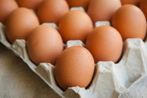 Pozytywne dla polskich producentów efekty "afery fipronilowej" nie potrwają długo