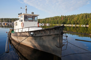 fot. shutterstock MGMiŻŚ: Polska nie akceptuje propozycji KE ws. połowów na Bałtyku