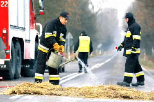 Zaraza nam niestraszna?