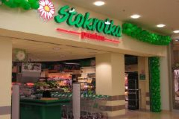 Nawet 50 delikatesowych Stokrotek w 5 lat