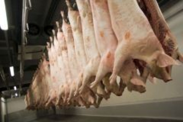Rosja chce ograniczyć import mięsa drobiowego i wieprzowego