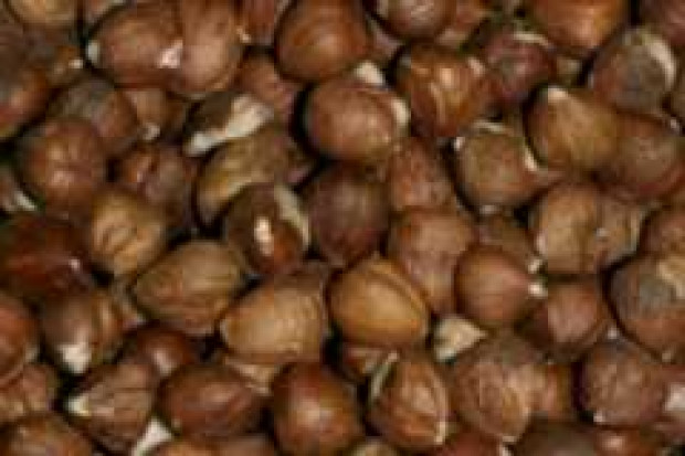Turcja zwiększa produkcję orzechów laskowych