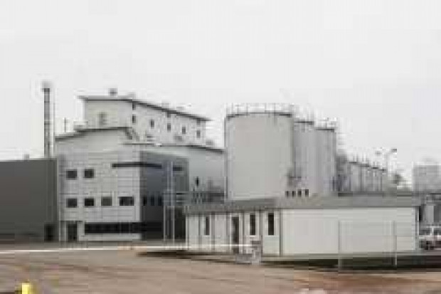 Elstar Oils miał 3,95 mln zł zysku netto w I kw. 2008 r