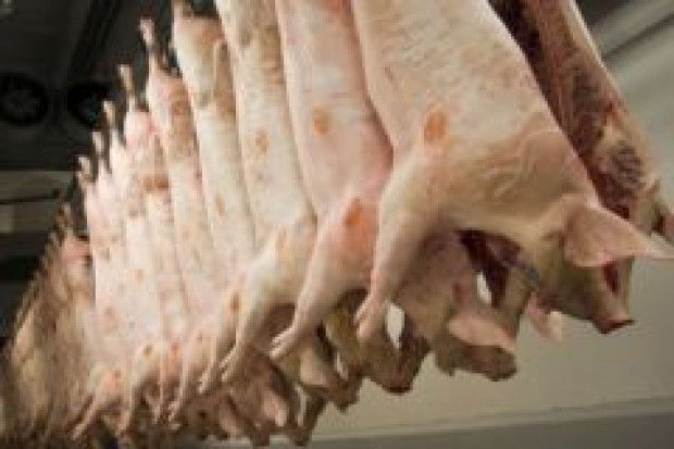 Wzrost produkcji wieprzowiny w USA i UE nie zrównoważy spadku w Chinach
