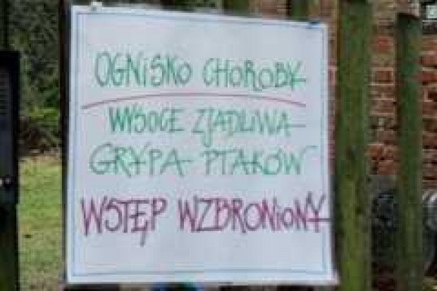 Unia zadba o zdrowie zwierząt hodowlanych?