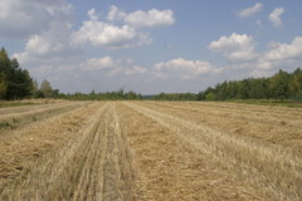 Większe składki na KRUS