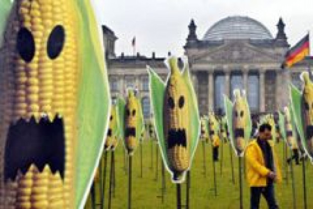 Zbliża się zakaz importowania pasz z GMO