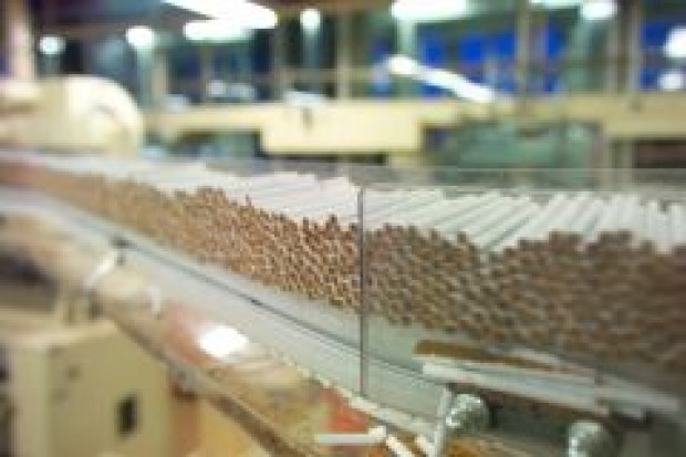 fot. Philip Morris Niepewna przyszłość polskiego tytoniu