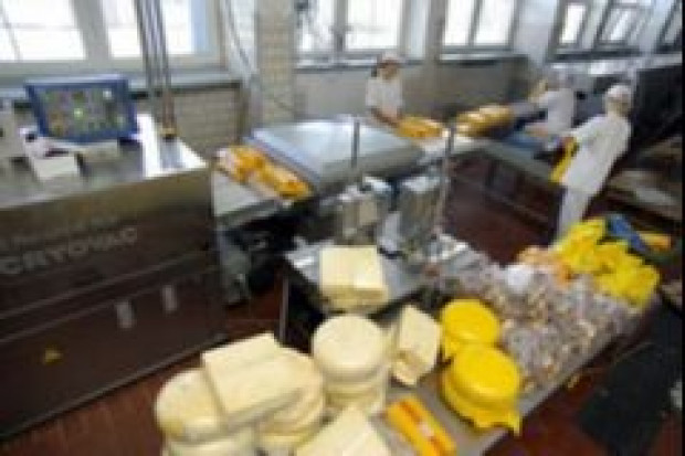 SM Sudowia wprowadzi na rynek ekologiczne produkty mleczarskie
