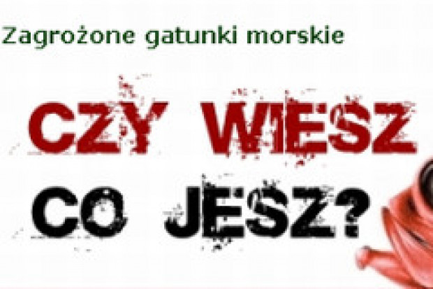 fot.Greenpeace Ginące gatunki ryb sprzedawane są w supermarketach