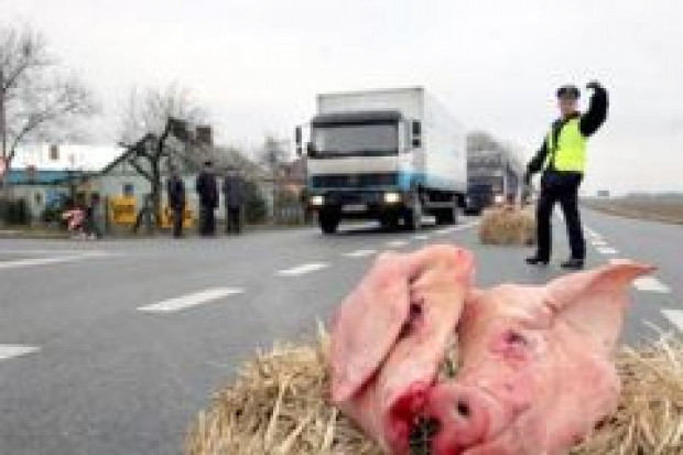 fot. www.money.pl Będą blokady dróg! Rolnicy żądają wprowadzenia ceł na import zbóż