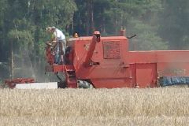 Rolnicy w proteście przeciw importowi zbóż zablokują granicę i najadą Warszawę