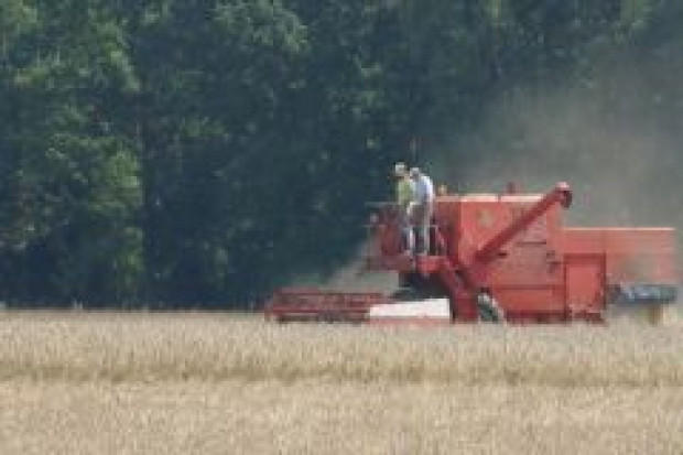 Resort przygotował ustawę o GMO