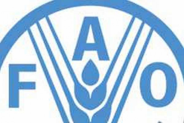 FAO: Nadal żywność będzie droga