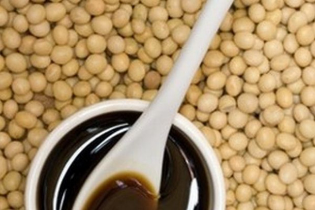KE zadecyduje o imporcie soi Monsanto