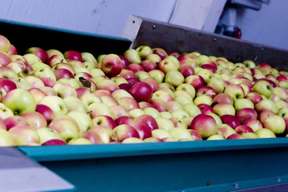 Rośnie import puszkowanych owoców w Rosji