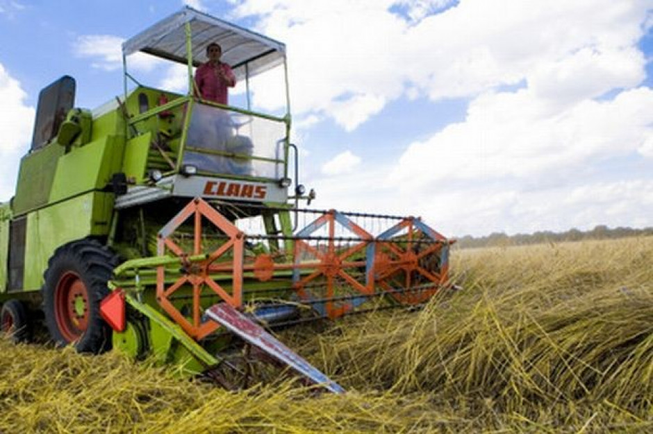 Producenci i pośrednicy wyprzedają ziarno z ubiegłorocznych zbiorów
