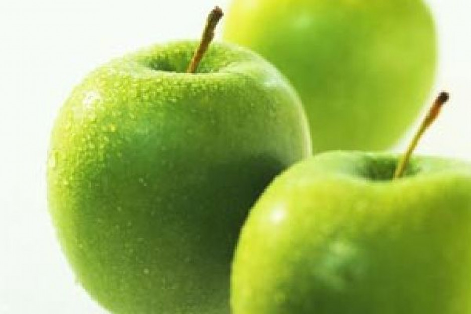 fot. ja-i-jabluszka.blog.onet.pl NIK krytykuje rząd za brak monitoringu nad uprawami GMO